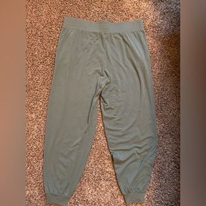 AnyBody Tall Cozy Knit Ribbed Jogger Pants. Size L-tall.